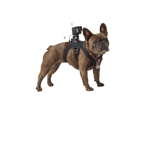 HERO13 Black Pets Bundle