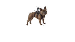 HERO Pets Bundle