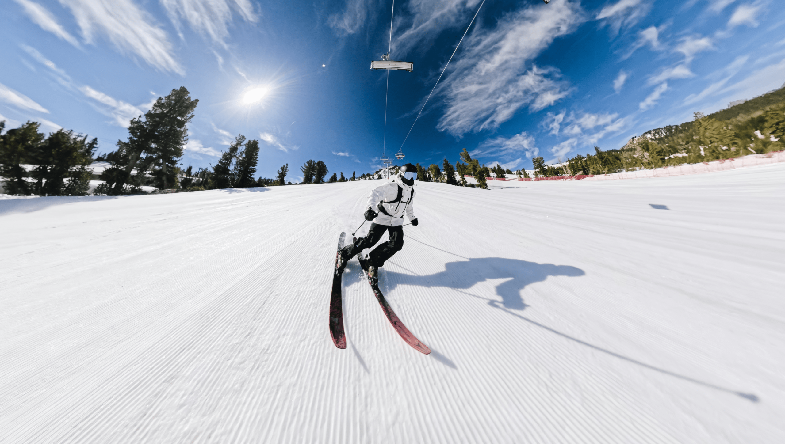 Ski Pole Mount for Extension Poles - Image 5
