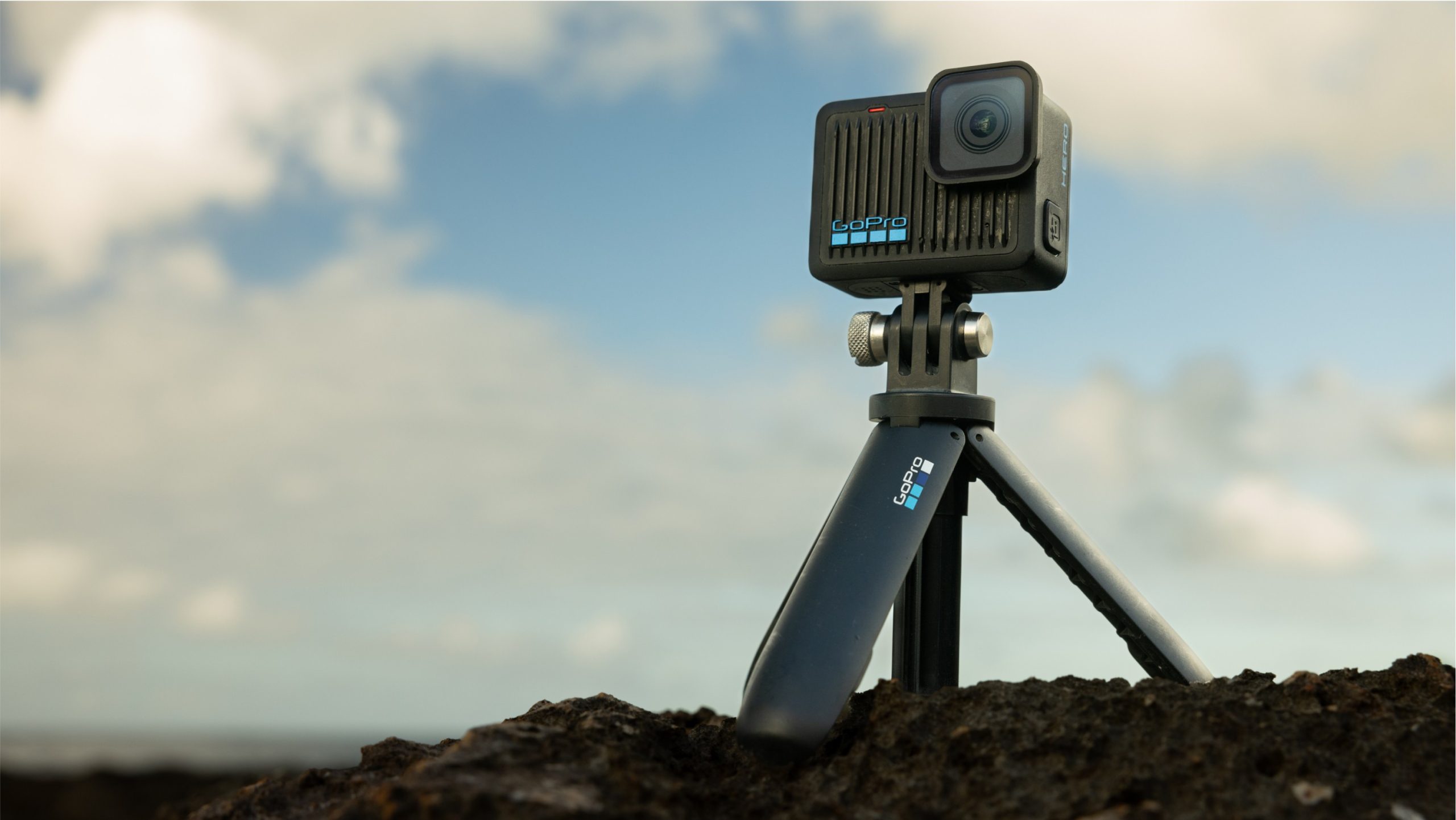 Shorty - Image 6