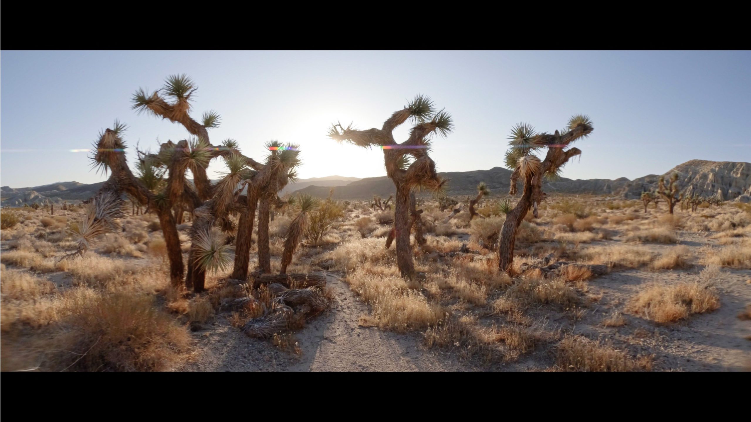 Anamorphic Lens Mod - Image 7