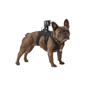 Fetch Dog Harness