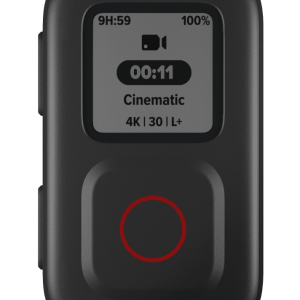 The Remote