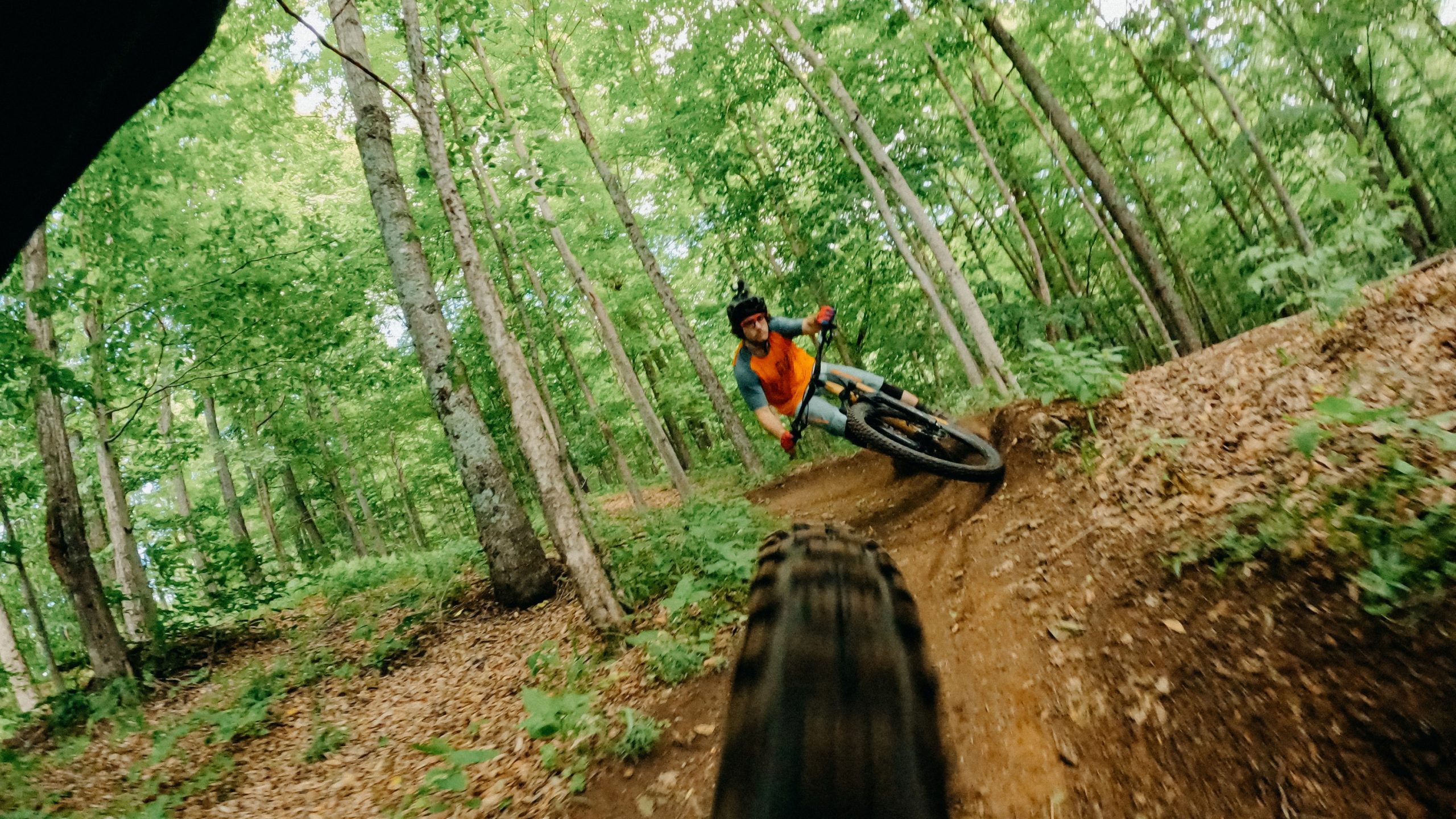 Handlebar / Seatpost / Pole Mount - Image 7