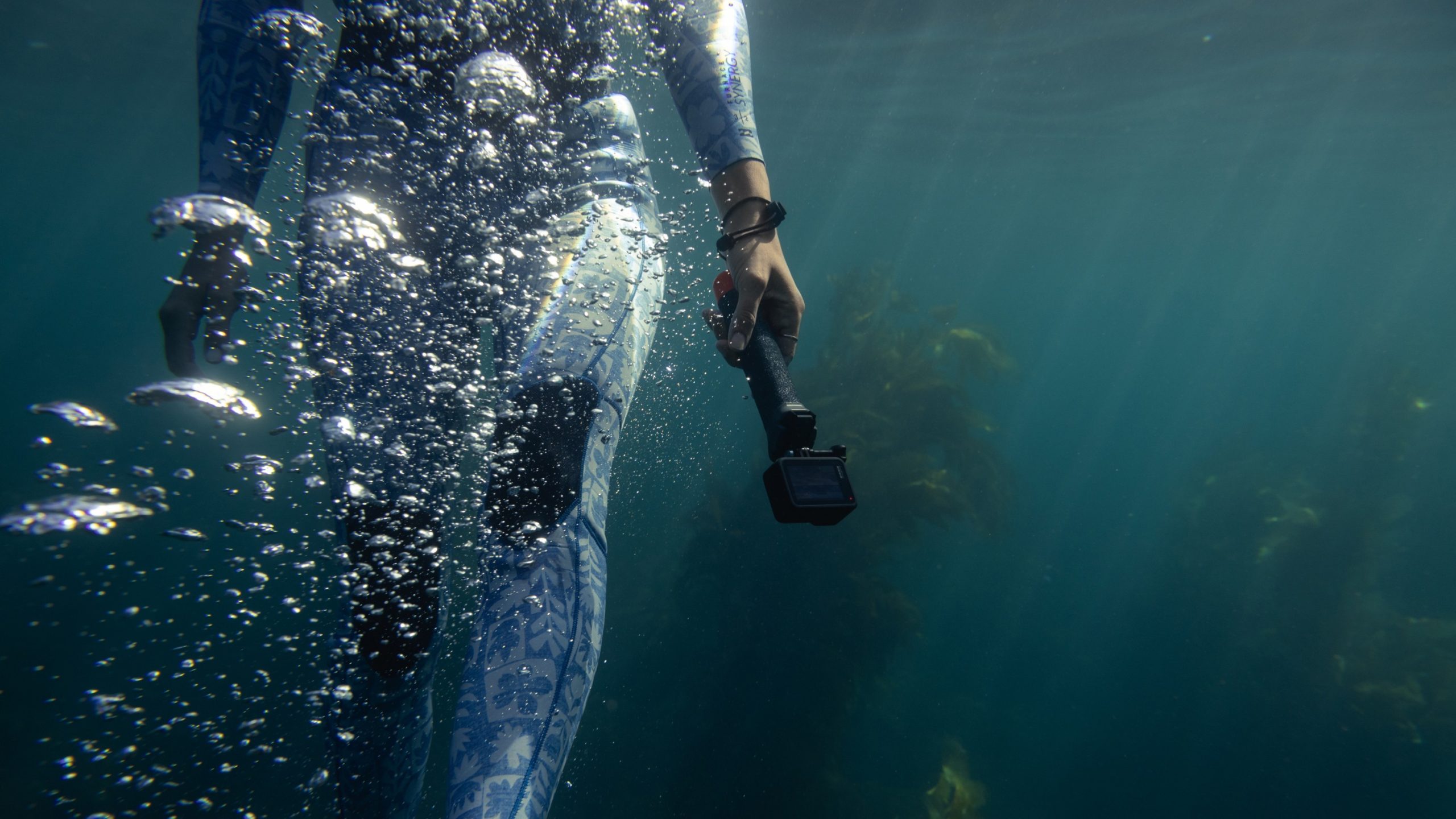 The Handler - Image 5